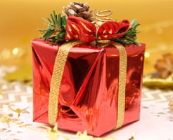 【クリスマスプレゼント2017：ゲーム】子供に喜ばれるゲームをご紹介！