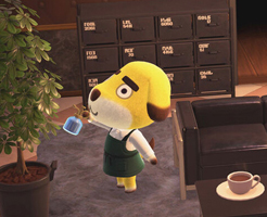 【あつ森】有料コンテンツの買い方＆ダウンロード方法！ニンテンドーオンラインの加入は必要？