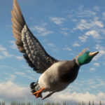 【the Hunter】SteamとEpic版はクロスプレイ可能?どっちがおすすめ?