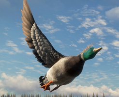 【the Hunter】SteamとEpic版はクロスプレイ可能？どっちがおすすめ？