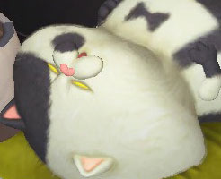 【スプラトゥーン3】Xマッチやビッグランのアプデ配信はいつ？