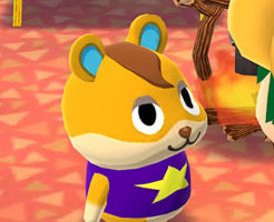 【ポケ森コンプリート】アプリの購入方法を解説！クレカ以外の買い方は？